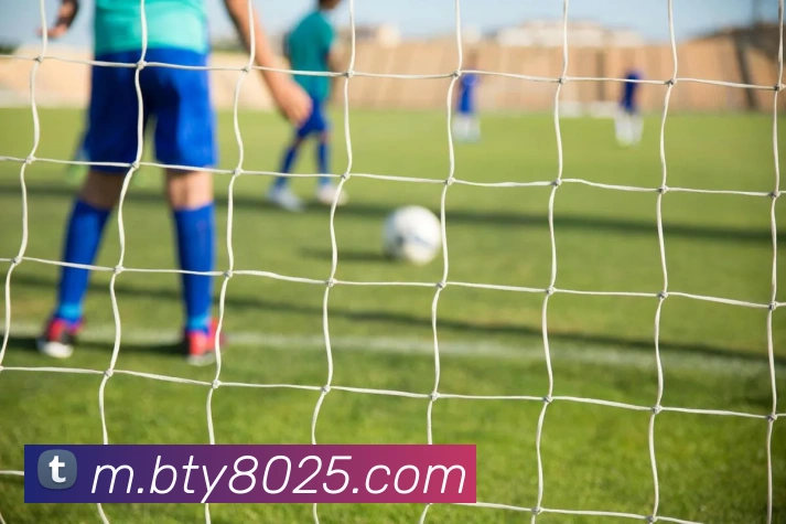 B体育平台生态图