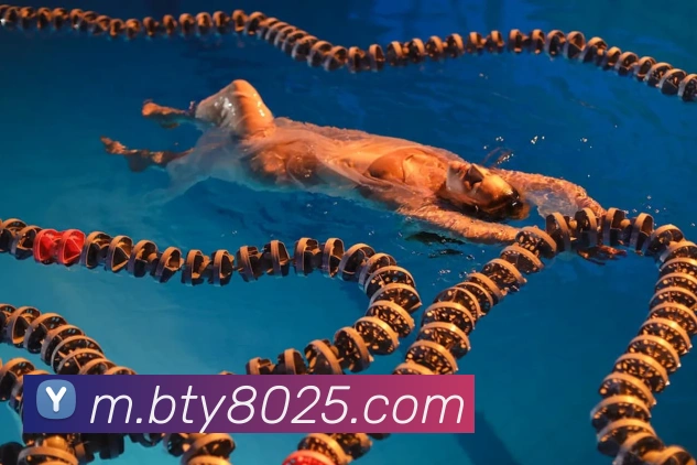 B体育APP 封面图